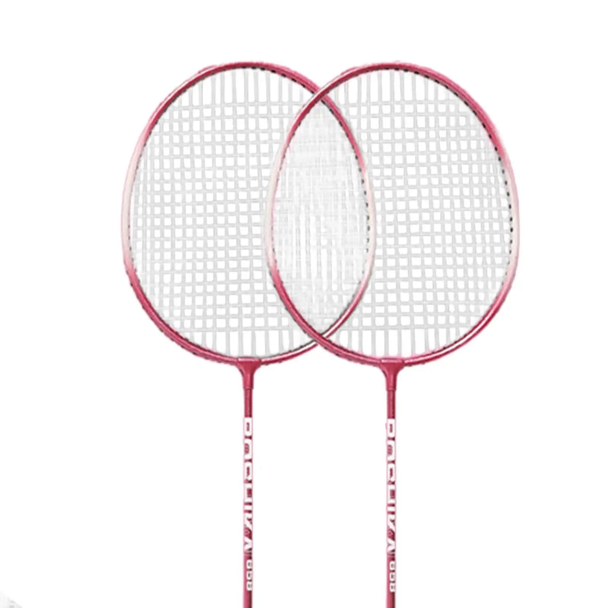DealJee™badminton racket