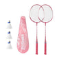 DealJee™badminton racket